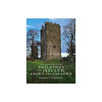 The Lilliput Press Ltd The Irish Aesthete: Buildings of Ireland, Known and Unknown (inbunden, eng)