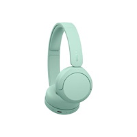Sony Sony WH-CH530 - hörlurar med mikrofon