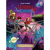 Zelda Falköga Kruxernas hemlighet (bok, kartonnage)