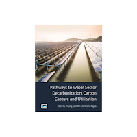 IWA Publishing Pathways to Water Sector Decarbonization, Carbon Capture and Utilization (häftad, eng)