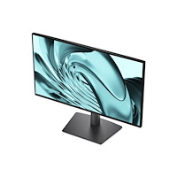 DELL Dell Pro P P2426H - LED-skärm - Full HD (1080p) - 24"