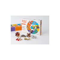 Recent Toys Brain Puzzle - set of 6