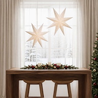 vidaXL Julbelysning RAAHE 2 st 10 LED-lampor Varmvit 60 x 6 x 60 cm