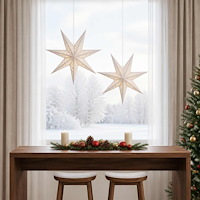 vidaXL Julbelysning RAAHE 2 st 10 LED-lampor Varmvit 45 x 6 x 45 cm