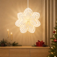 vidaXL Julbelysning RAAHE 10 LED-lampor Varmvit 60 x 20 x 60 cm