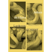 Nirstedt/litteratur Laokoongrupper (inbunden)