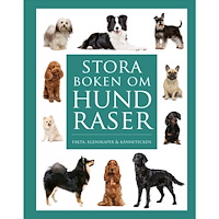 Bokförlaget Semic Stora boken om hundraser : Fakta, egenskaper och kännetecken (inbunden)