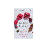 Princeton University Press Endless Endings (inbunden, eng)