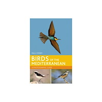 Bloomsbury Publishing PLC Birds of the Mediterranean: A Photographic Guide (häftad, eng)