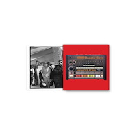 Quarto Publishing Group USA Inc Beastie Boys (inbunden, eng)