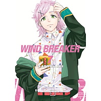 Satoru Nii Wind Breaker 07 (häftad, eng)