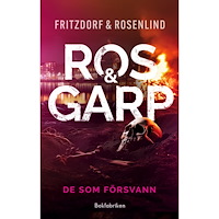 Lotta Fritzdorf De som försvann (inbunden)
