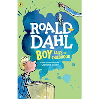 Roald Dahl Boy: Tales of Childhood (häftad, eng)