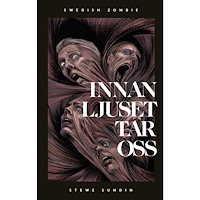 Stewe Sundin Innan ljuset tar oss (bok, kartonnage)