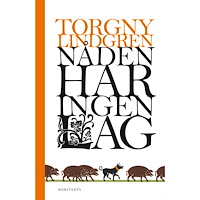 Torgny Lindgren Nåden har ingen lag (bok, halvklotband)