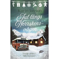 Karin Janson Jul längs Norrskensvägen (inbunden)