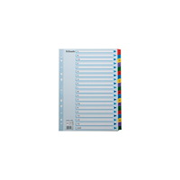 ESSELTE Kartongregister m. plastfl. A4 A-Ö färg