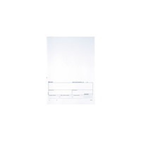 No Brand Standardblankett talong Bankgiro 250/fp