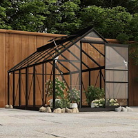 vidaXL Glasväxthus antracit 155x298x191 cm aluminium