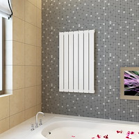 vidaXL Värmepanel vit 542 mm x 900 mm