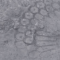 vidaXL Golvbrädor PVC 4,46 m² 3 mm självhäftande cementgrå