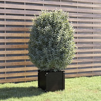 vidaXL Odlingslåda svart 40x40x40 cm massiv furu