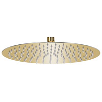 vidaXL Takduschhuvud rostfritt stål 30 cm rund guld