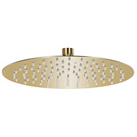 vidaXL Takduschhuvud rostfritt stål 25 cm rund guld