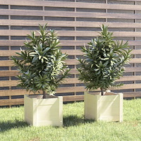 vidaXL Odlingslådor 2 st vit 31x31x31 cm massiv furu