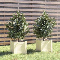 vidaXL Odlingslådor 2 st vit 31x31x31 cm massiv furu