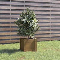 vidaXL Odlingslåda honungsbrun 31x31x31 cm massiv furu