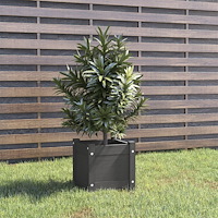 vidaXL Odlingslåda grå 31x31x31 cm massiv furu