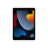 Apple Apple 10.2-inch iPad Wi-Fi - 9:e generation - surfplatta - 256 GB - 10.2"
