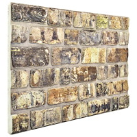 vidaXL Väggpaneler 10 pcs Flerfärgsdesign 100 x 50 cm EPS Skum