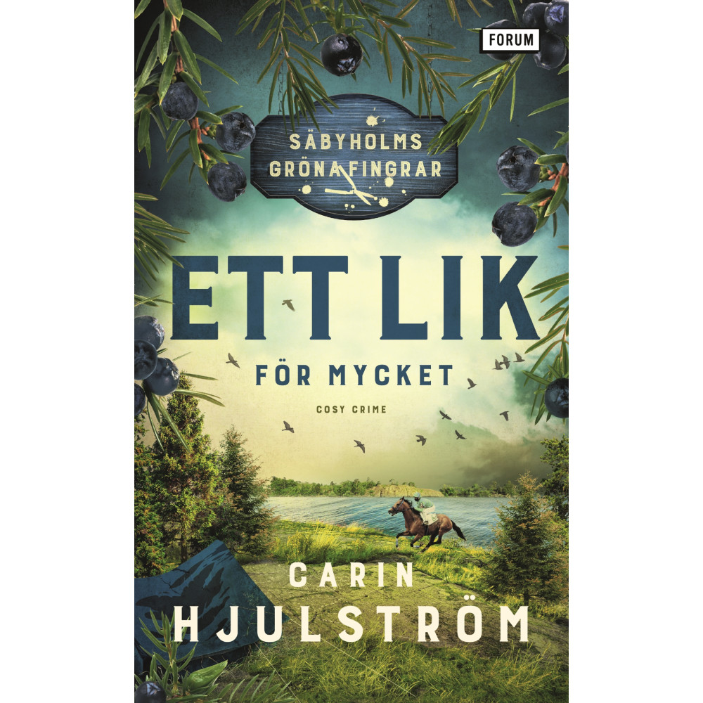 Ett lik för mycket (pocket) Carin Hjulström