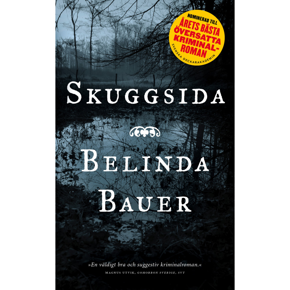 Skuggsida (pocket) Belinda Bauer