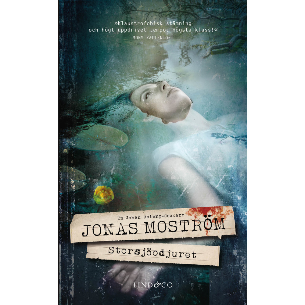 Storsjöodjuret (pocket) Jonas Moström