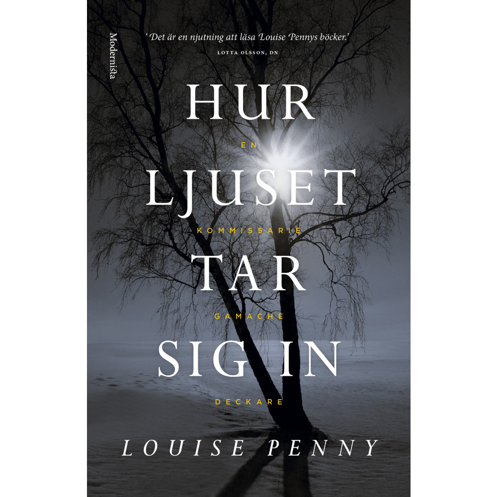 Hur ljuset tar sig in (inbunden) Louise Penny