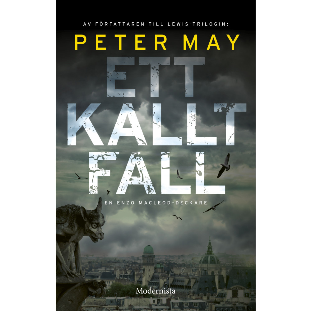 Ett kallt fall (bok, storpocket) Peter May