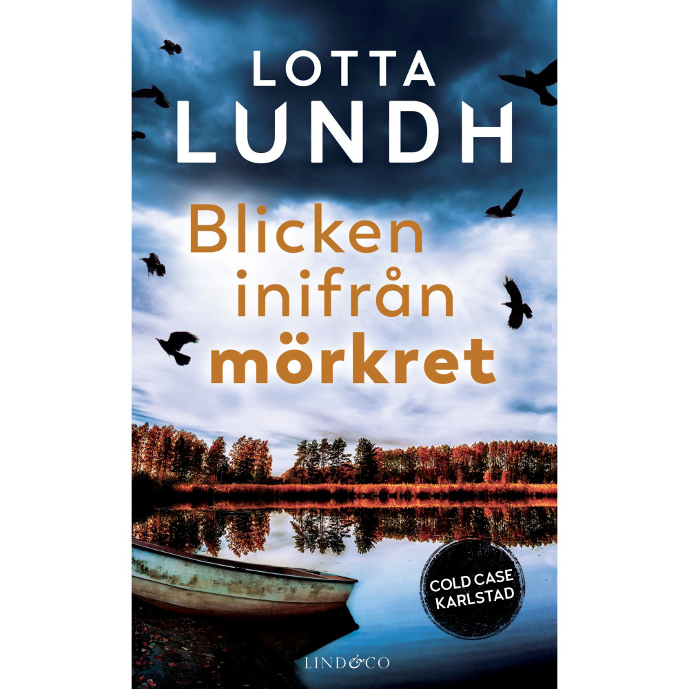 Blicken inifrån mörkret (pocket) Lotta Lundh