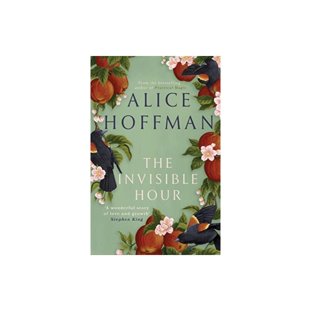 The Invisible Hour (häftad, english) Alice Hoffman