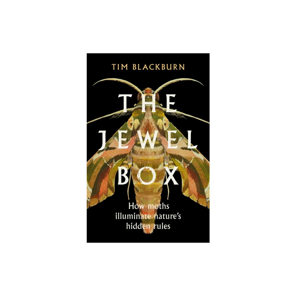 The Jewel Box (häftad, english) Tim Blackburn