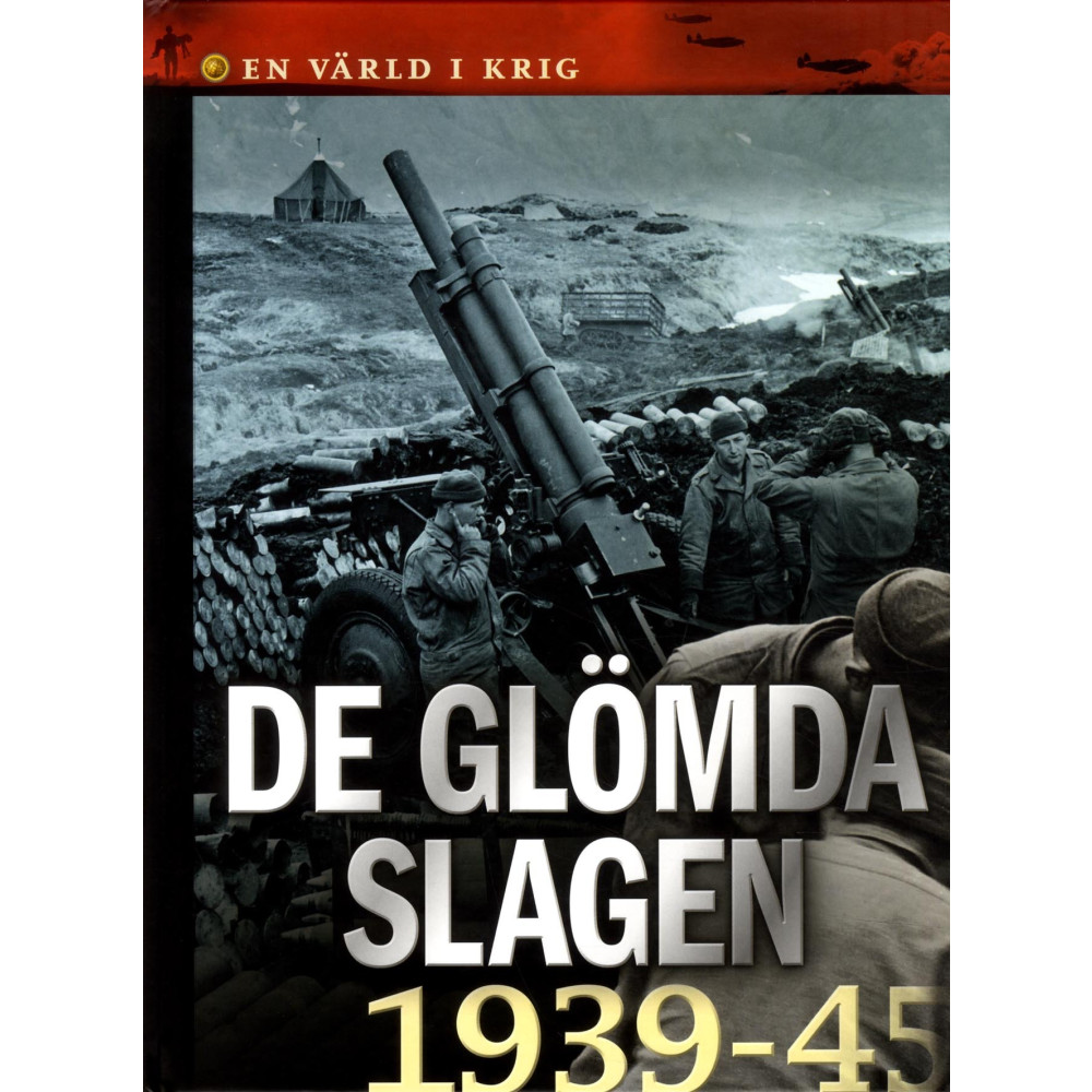 De glömda slagen (inbunden)