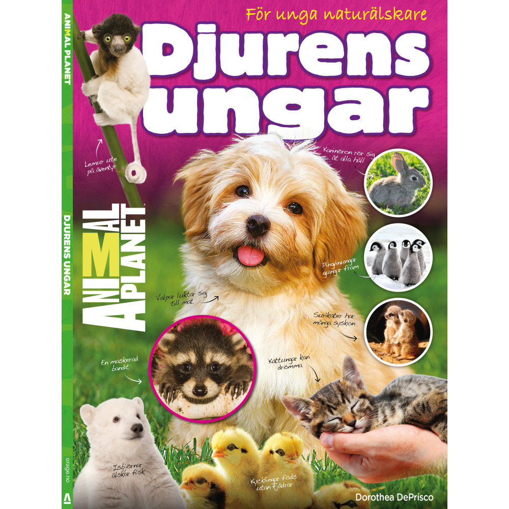 Djurens ungar - för unga naturälskare (inbunden)