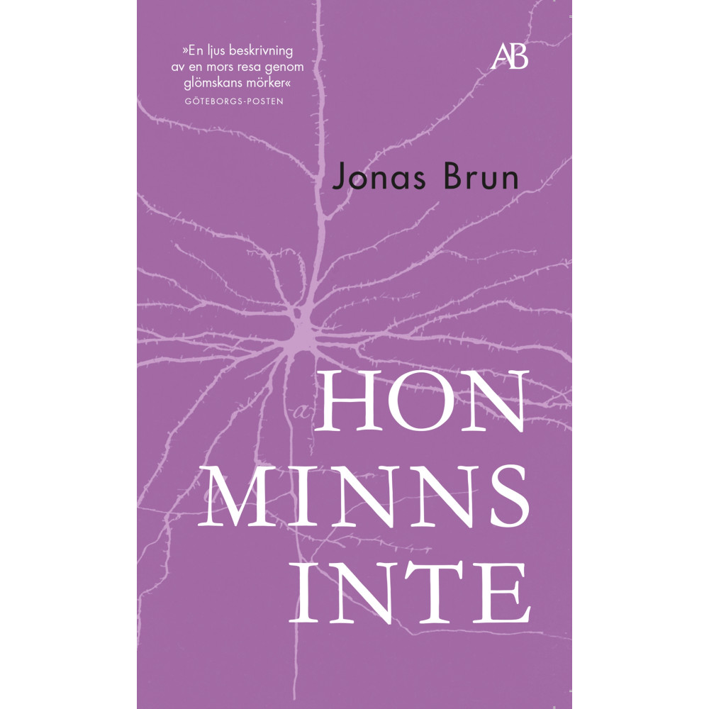 Hon minns inte (pocket) Jonas Brun