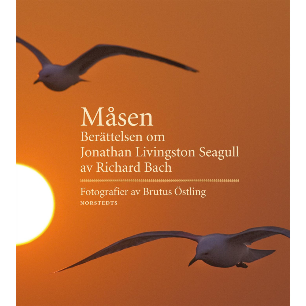 Måsen : berättelsen om Jonathan Livingston Seagull (inbunden) NORSTEDTS