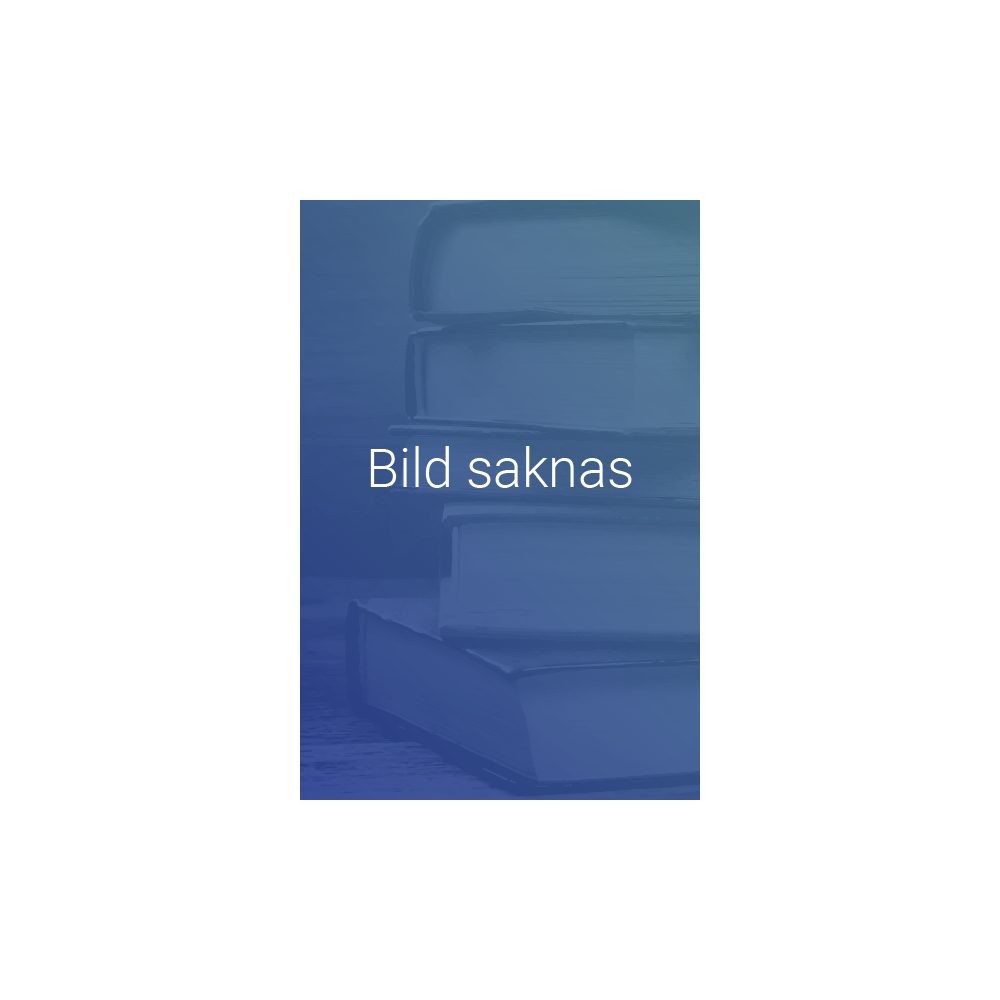 Juridiska principfrågor : Rättvisa, gällande rätt och rättigheter (häftad)