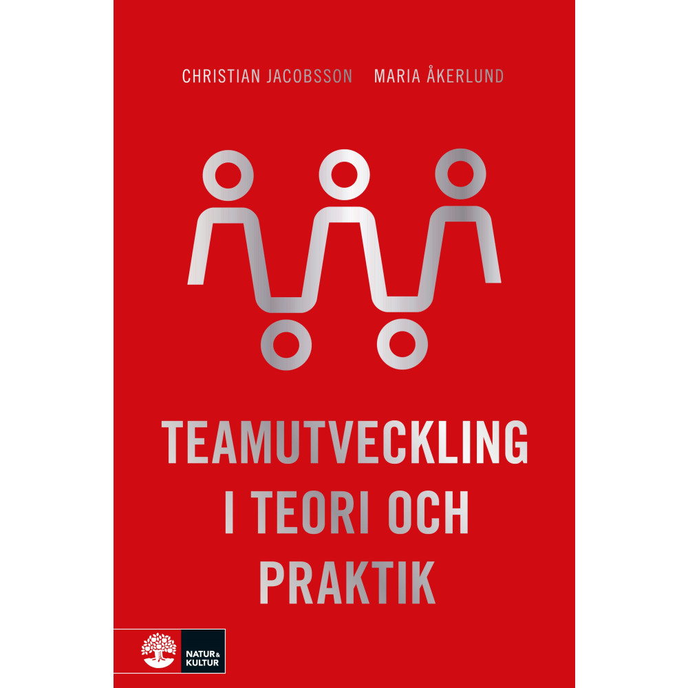 Teamutveckling i teori och praktik (bok, danskt band)