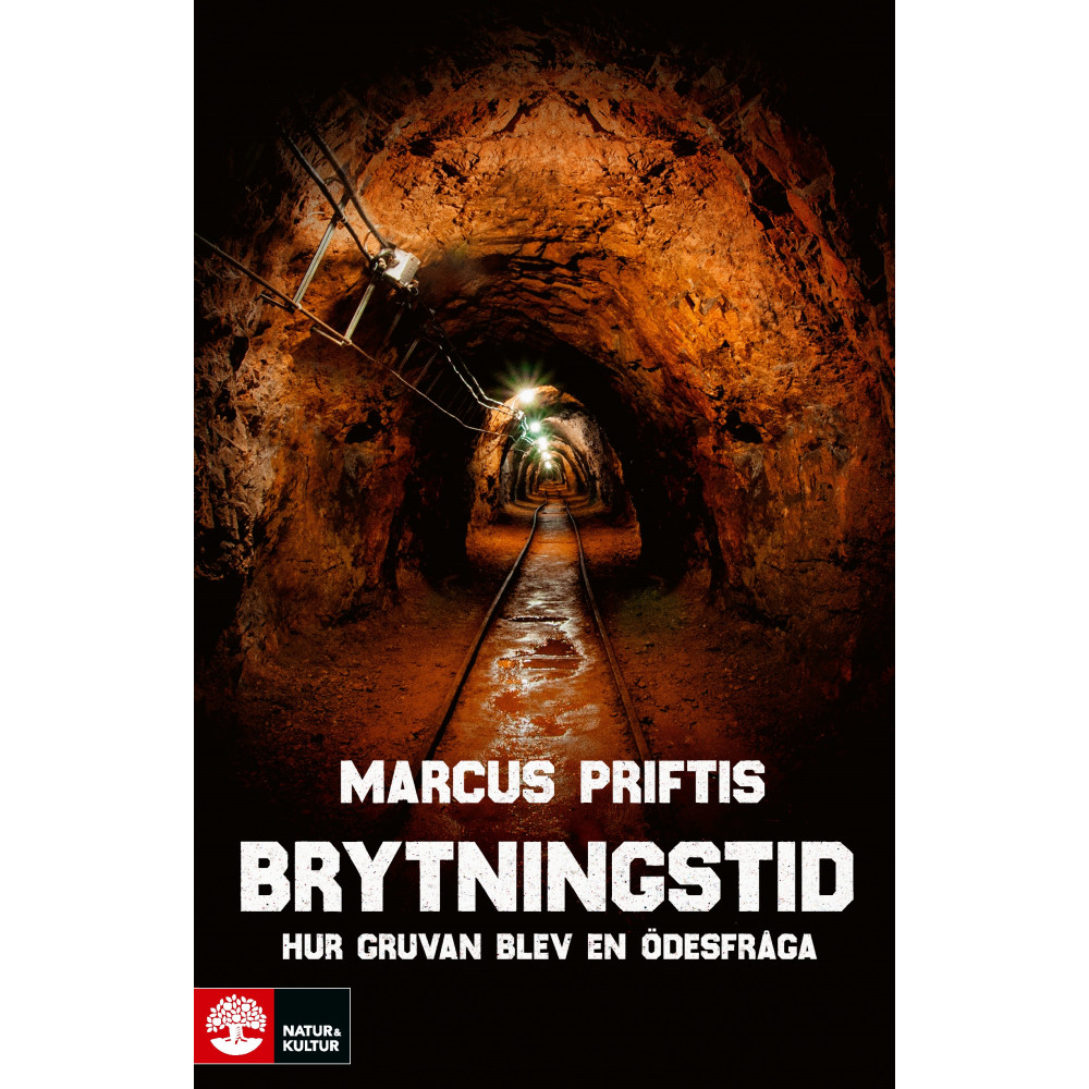 Brytningstid : hur gruvan blev en ödesfråga (inbunden)