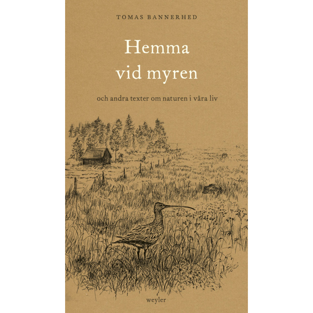 Hemma vid myren : och andra texter om naturen i våra liv (inbunden) Tomas Bannerhed